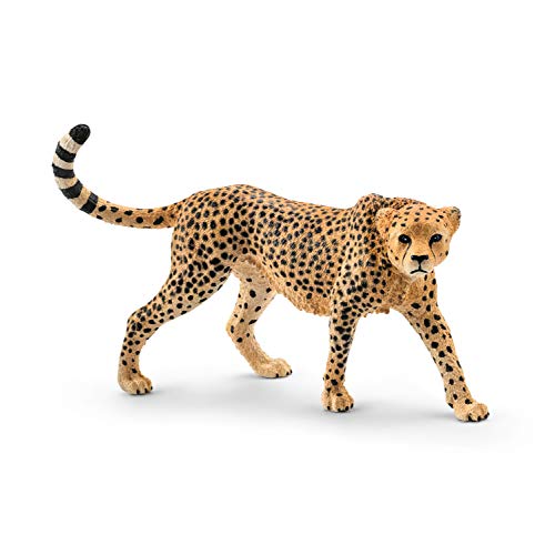 schleich 14746 Gepardin, ab 3 Jahren, WILD LIFE - Spielfigur, 3 x 10 x 7 cm, Mehrfarbig/Meereswellen (Ocean Tides) schleich 14746 Gepardin, ab 3 Jahren, WILD LIFE - Spielfigur, 3 x 10 x 7 cm, Mehrfarbig/Meereswellen (Ocean Tides) von SCHLEICH