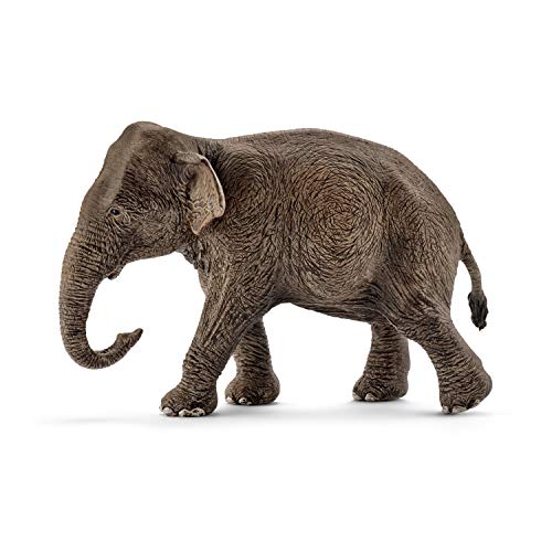 schleich 14753 Asiatische Elefantenkuh, für Kinder ab 3+ Jahren, WILD LIFE - Spielfigur schleich 14753 Asiatische Elefantenkuh, für Kinder ab 3+ Jahren, WILD LIFE - Spielfigur von SCHLEICH