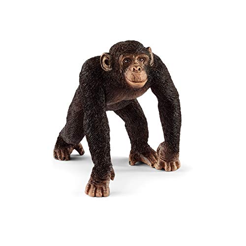 SCHLEICH 14817 - Schimpanse Männchen SCHLEICH 14817 - Schimpanse Männchen von SCHLEICH