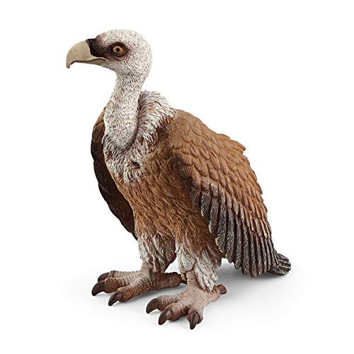 SCHLEICH WILD Life | Geier 14847 | detailgetreue Tierfiguren | Zoo Spielzeug Jungen und Mädchen | Deko für Geburtstag | Spielfigur ab 3 Jahren | 6 x 4 x 7 cm von SCHLEICH