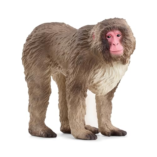SCHLEICH 14871 Japanmakak, ab 3 Jahren, WILD Life - Spielfigur, 3 x 7 x 6 cm SCHLEICH 14871 Japanmakak, ab 3 Jahren, WILD Life - Spielfigur, 3 x 7 x 6 cm von SCHLEICH
