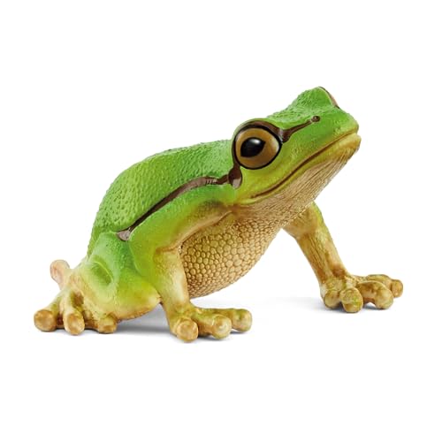 schleich WILD LIFE | Europäischer Laubfrosch 14882 | detailgetreue Tierfiguren | Zoo Spielzeug | tolles Geschenk für Jungen und Mädchen | Deko für Geburtstag | Spielfigur ab 3 Jahren | 4 x 5 x 3 cm schleich WILD LIFE | Europäischer Laubfrosch 14882 | detailgetreue Tierfiguren | Zoo Spielzeug | tolles Geschenk für Jungen und Mädchen | Deko für Geburtstag | Spielfigur ab 3 Jahren | 4 x 5 x 3 cm von SCHLEICH