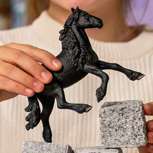 schleich HORSE CLUB | Friese Hengst 13975 | detailgetreues Pferd | tolles Geschenk für Mädchen und Jungen | Pferde Spielzeug für Kinder ab 5 Jahren | 5 x 16 x 11 cm schleich HORSE CLUB | Friese Hengst 13975 | detailgetreues Pferd | tolles Geschenk für Mädchen und Jungen | Pferde Spielzeug für Kinder ab 5 Jahren | 5 x 16 x 11 cm von SCHLEICH