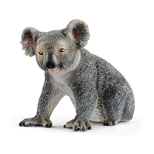SCHLEICH WILD Life | Koalabär 14815 | detailgetreue Tierfiguren | Zoo Spielzeug Jungen und Mädchen | Deko für Geburtstag | Spielfigur ab 3 Jahren | 5 x 4 x 4 cm von SCHLEICH