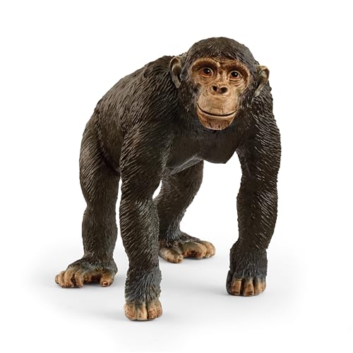 schleich WILD Life | Schimpanse 14883 | detailgetreue Tierfiguren | Zoo Spielzeug | tolles Geschenk für Jungen und Mädchen | Deko für Geburtstag | Spielfigur ab 3 Jahren | 9 x 5 x 7 cm schleich WILD Life | Schimpanse 14883 | detailgetreue Tierfiguren | Zoo Spielzeug | tolles Geschenk für Jungen und Mädchen | Deko für Geburtstag | Spielfigur ab 3 Jahren | 9 x 5 x 7 cm von SCHLEICH