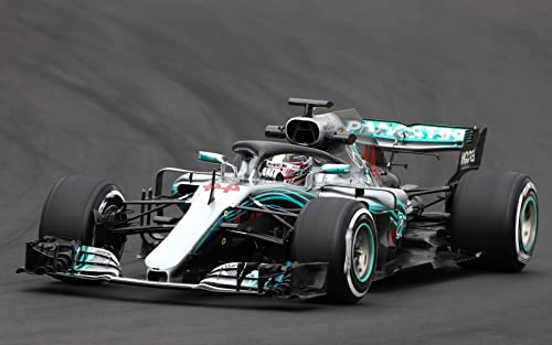 1000 Teile Puzzle Lewis Hamilton Holz Puzzle Erwachsene Stress Freisetzung Spiel 1000 Piece 29.5x19.6inch(75x50cm) Kein Rahmen von SDDLW1990