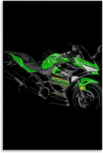 Holz Puzzle 1000 Teile Das Motorrad Isle of Man TT Kawasaki Ninja 400 Puzzles für Erwachsene und Kinder anspruchsvoll 1000 Piece 29.5x19.6inch(75x50cm) Kein Rahmen von SDDLW1990