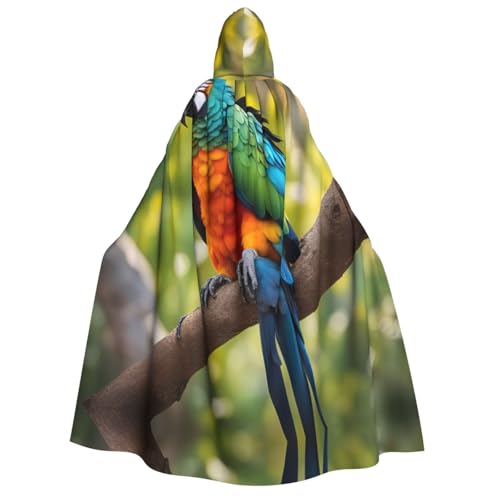 SDFHU Fantastischer Papageienfeder-Druck, Karneval, stilvoller Umhang mit Kapuze für Cosplay, Maskerade, Bälle und Themenveranstaltungen SDFHU Fantastischer Papageienfeder-Druck, Karneval, stilvoller Umhang mit Kapuze für Cosplay, Maskerade, Bälle und Themenveranstaltungen von SDFHU
