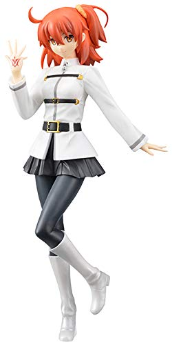 SEGA Fate / Grand Order super-premium figure "hero (woman)" size about H22cm von SEGA