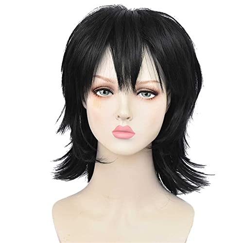 Wig Anime Cosplay Coslpay Perücke, Demon Slayer Tomioka Giyuu Perücke mit gratis Perückenkappe, hitzebeständige Perücken Anime Cosplay Perücke Halloween Weihnachten Karneval Party Cosplay Perücke (Far von SEIZIS