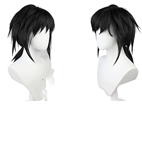 Wig Anime Cosplay Coslpay Perücke, Demon Slayer Tomioka Giyuu Perücke mit gratis Perückenkappe, hitzebeständige Perücken Anime Cosplay Perücke Halloween Weihnachten Karneval Party Cosplay Perücke (Far von SEIZIS