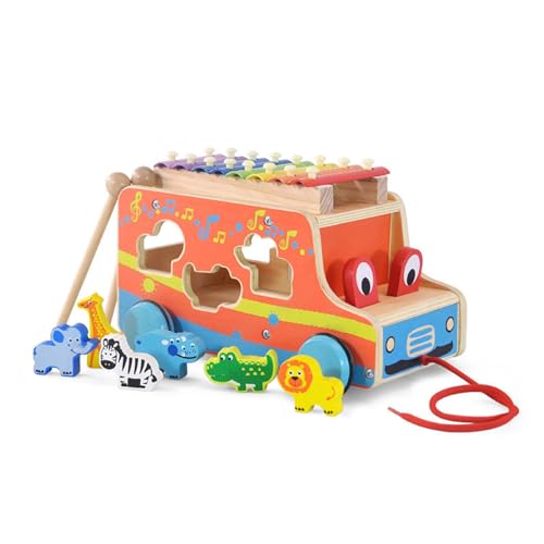 SELVFZ 2 In 1 Baby Percussion Instrumente Spielzeugtiere Form Passendes Spiel Feine Frühe Bildung Lernspielzeuggeschenke Für Kinder von SELVFZ