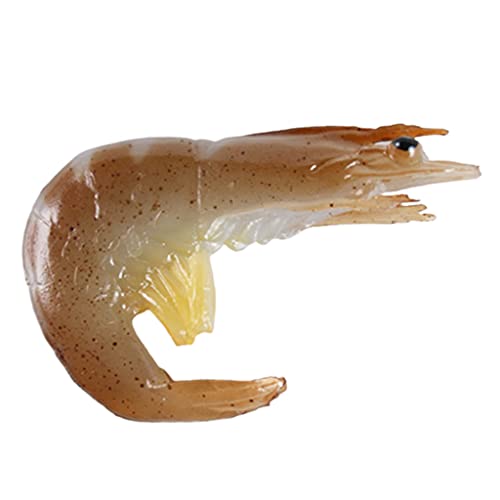 5pcs/Set Simulation Shrimp Accessory Kitchen Food Spielzeugmodell Für Spielprops Realistische Koch Shrimp Modell Shrimpsspielzeug Figuren Für Kinder Plastik Shrimps Spielzeug Aquarium 5pcs/Set Simulation Shrimp Accessory Kitchen Food Spielzeugmodell Für Spielprops Realistische Koch Shrimp Modell Shrimpsspielzeug Figuren Für Kinder Plastik Shrimps Spielzeug Aquarium von SELVFZ