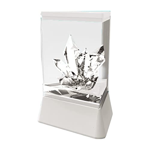 Kinder MNI White Crystal Wachstum Set Science Study Accessoires Bildung Für Spielen Lustiger Tischspielzeug von SELVFZ