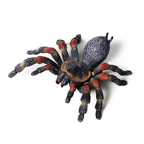 Kunststofffiguren Tierstatue Wohnkultur Spinnenkäfer Skulpturen Für Garten Innen Und Dekoration Insekten Statuen Plastik Spinnenkäfer Figuren Insekten Tiere Spielzeug Große Realistische Wohnkultur Kunststofffiguren Tierstatue Wohnkultur Spinnenkäfer Skulpturen Für Garten Innen Und Dekoration Insekten Statuen Plastik Spinnenkäfer Figuren Insekten Tiere Spielzeug Große Realistische Wohnkultur von SELVFZ