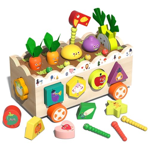 Realistische Karottenfarm Spielzeugspielzeug Holzmünze Einsatzkasten Form Kognitive Puzzle Spielzeug Lernen Kleinkind Fine Motor Training Spielzeug Holzpuzzletoxen Für Kinder Gehirn Teaser Realistische Karottenfarm Spielzeugspielzeug Holzmünze Einsatzkasten Form Kognitive Puzzle Spielzeug Lernen Kleinkind Fine Motor Training Spielzeug Holzpuzzletoxen Für Kinder Gehirn Teaser von SELVFZ