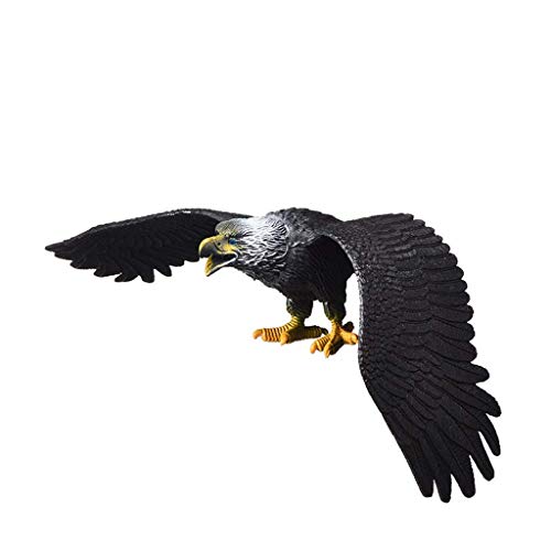 SELVFZ Model Bird Flying Mode Figur Für Boutique Sammlung Wissenschaft Bildung Spielzeug Schüler Klassenversorgung Kinder Pädagogische Requisiten Spielzeug von SELVFZ