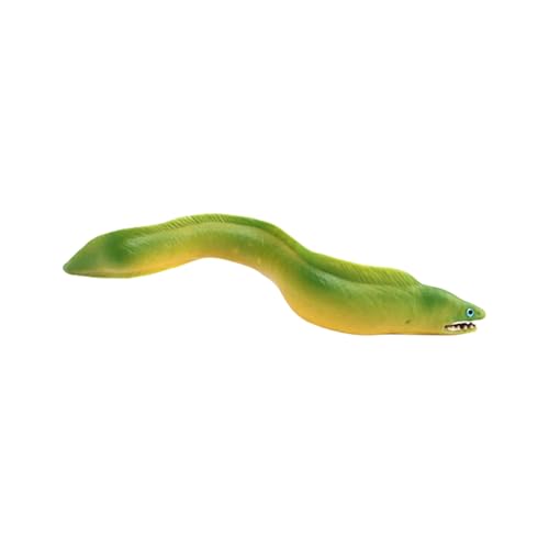 Simulation Marine Animal Aal Model Figurine Spielzeug Sichere Abs Plastik Figur Für Bildungsanzeige Wissenschaftliches Lernen Marine Fischmodell Figur von SELVFZ