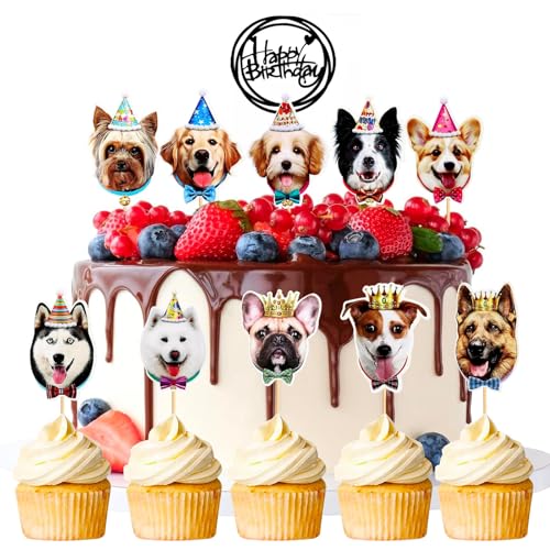 SEPSCO Hund Kuchen Deko 11 Stück, Hunde Tortendeko Geburtstag, Welpen Cupcake Topper, Muffin Hundegeburtstag Decorations, Dog Theme Cake Toppers für Mädchen Junge Haustier Kindergeburtstag Party Deko SEPSCO Hund Kuchen Deko 11 Stück, Hunde Tortendeko Geburtstag, Welpen Cupcake Topper, Muffin Hundegeburtstag Decorations, Dog Theme Cake Toppers für Mädchen Junge Haustier Kindergeburtstag Party Deko von SEPSCO