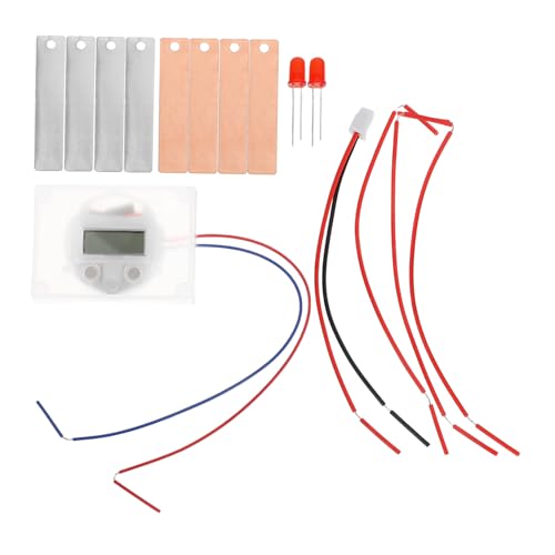 SEWACC 2 Sätze Fruchtbatterie Experimentier für Schüler Teiliges DIY Kit zur Stromerzeugung mit Obst Kreatives Lernspielzeug für Jugendliche von SEWACC