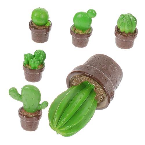 SEWACC 6 Stück Teiliges Kaktus Resin Realistische Mini Bonsai Figuren für Zimmerpflanzen Micro Landschaften Tisch und Garten Dekoration als Geburtstags und Wohnungsdeko SEWACC 6 Stück Teiliges Kaktus Resin Realistische Mini Bonsai Figuren für Zimmerpflanzen Micro Landschaften Tisch und Garten Dekoration als Geburtstags und Wohnungsdeko von SEWACC