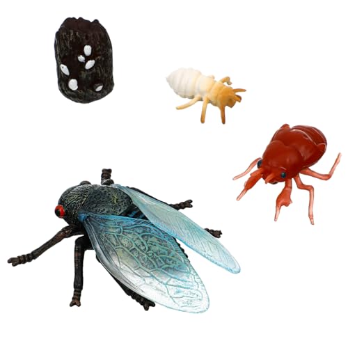 SEWOART 1 Satz Cicada Lebenszyklus Figuren Teiliges Modell für Pädagogisches zur Simulation der Insektenentwicklung für Lernzwecke und Goodie Bags von SEWOART