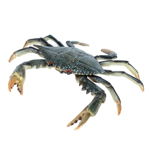 SEWOART 1 Stück Massiver Portunus Tank Aquarium Dekoration aquariumdeko Meerestiere Dekoration Tierfiguren für Wasserbecken Krabbenmodell lebendige Meerestierfigur Aquarienhandwerk Plastik von SEWOART