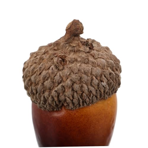 SEWOART 40 Stück Teiliges Künstliche Realistische Kleine Eicheln mit Naturgetreuer Langlebig und Vielseitig für Herbstdeko DIY Basteln und Küchendekoration SEWOART 40 Stück Teiliges Künstliche Realistische Kleine Eicheln mit Naturgetreuer Langlebig und Vielseitig für Herbstdeko DIY Basteln und Küchendekoration von SEWOART