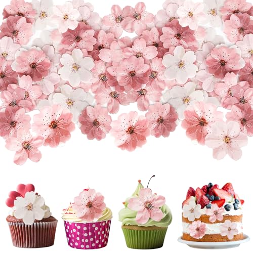SGQTGIMU 50 Stück kirschblüten tortendeko blumen essbar, blumen cupcake topper, essbare blumen für Geburtstage, Hochzeitsfeiern (Rosa und Weiß) SGQTGIMU 50 Stück kirschblüten tortendeko blumen essbar, blumen cupcake topper, essbare blumen für Geburtstage, Hochzeitsfeiern (Rosa und Weiß) von SGQTGIMU