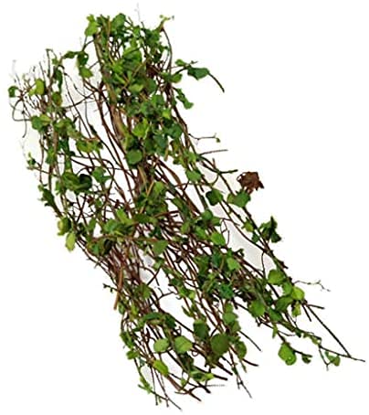 Resin Vine Rattan Model Scenery Model Miniature Plants for DIY Scenes von SGerste