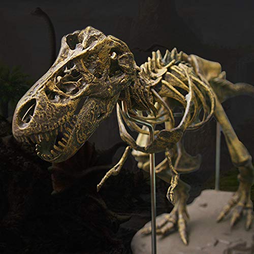 SGerste Jurassic Dinosaurier Tyrannosaurus Rex Skelett Trex Tier Modell Kinder Spielzeug Geschenk von SGerste