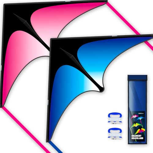 SGftre Delta Drachen Für Kinder Und Erwachsene,Er Lässt Sich Leicht Fliegen Extrem,Einfach Zu Fliegender Familiendrachen Mit Langer Schnur, Ideal Für Park Und Strand, Blau & Rosa (2 Stück) von SGftre