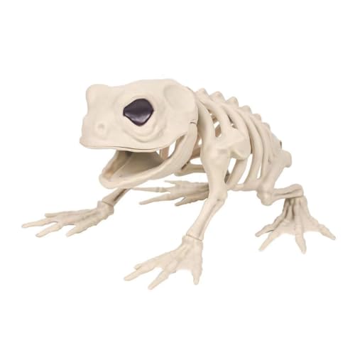 SHABD Froschskelett Als Halloween-Dekoration - Bewegliche Tierskelette, Skelette mit Beweglichen Gelenken, Halloween-Dekoration SHABD Froschskelett Als Halloween-Dekoration - Bewegliche Tierskelette, Skelette mit Beweglichen Gelenken, Halloween-Dekoration von SHABD