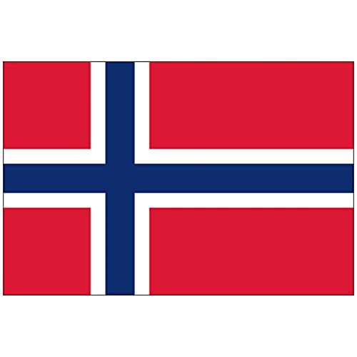 SHATCHI Flag Football Norwegische National Fan-Flagge, Premium-Ösen, 150 cm x 90 cm, Norwegen SHATCHI Flag Football Norwegische National Fan-Flagge, Premium-Ösen, 150 cm x 90 cm, Norwegen von SHATCHI