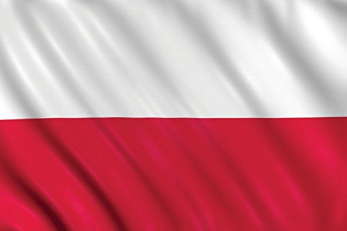 SHATCHI Nationalflaggen für Rugby, Cricket, Fußball, Sport 2023 Weltmeisterschaft, Fan-Unterstützung, Tischdecke, Polyester, Polen, 152 x 91 cm von SHATCHI