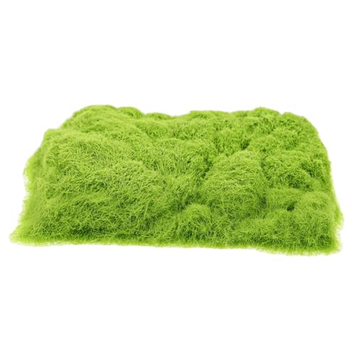 SHINEOFI 1 Packung Baustrohpulvermaterial Miniatur-geländegras DIY Mini-Modelleisenbahn Simulationsgras-Miniatur Modellbausatz Grasgelände Miniaturpflanzen Moos Zum Basteln Beflockung Green SHINEOFI 1 Packung Baustrohpulvermaterial Miniatur-geländegras DIY Mini-Modelleisenbahn Simulationsgras-Miniatur Modellbausatz Grasgelände Miniaturpflanzen Moos Zum Basteln Beflockung Green von SHINEOFI