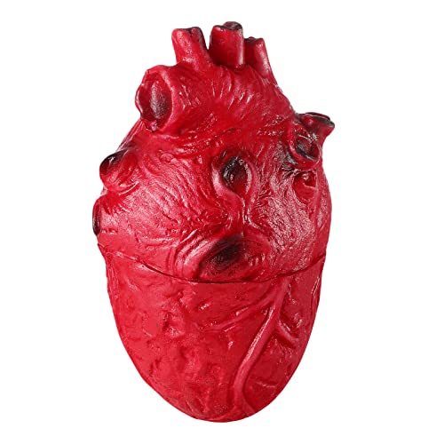 SHINEOFI Gefälschte Herz-Streich-Requisite 1 Stück Halloween-Grusel-Herz-Modell Realistische Halloween-Körperteil-Simulation Spukhaus-Requisiten Für Partys Heimdekorationen SHINEOFI Gefälschte Herz-Streich-Requisite 1 Stück Halloween-Grusel-Herz-Modell Realistische Halloween-Körperteil-Simulation Spukhaus-Requisiten Für Partys Heimdekorationen von SHINEOFI
