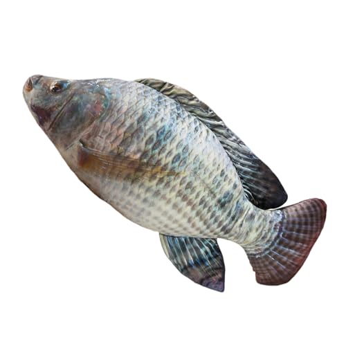 SHINROAD Fischplüschkissen weiches kurzes Wollstoffspielzeug für Kinder gefülltes Tierkissen süße Form mit Reißverschluss entzückend fischförmiger Wurf perfekten Geschenkgeburtstage A 80 cm SHINROAD Fischplüschkissen weiches kurzes Wollstoffspielzeug für Kinder gefülltes Tierkissen süße Form mit Reißverschluss entzückend fischförmiger Wurf perfekten Geschenkgeburtstage A 80 cm von SHINROAD