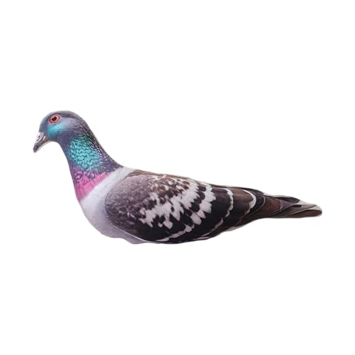 SHINROAD Gefüllte Tierspielzeug weiche kuschelige realistische Pigeon Plüsch Kissen lebensechte Entengans Hühnchengeschenke für Kinder Wohnkultur G SHINROAD Gefüllte Tierspielzeug weiche kuschelige realistische Pigeon Plüsch Kissen lebensechte Entengans Hühnchengeschenke für Kinder Wohnkultur G von SHINROAD