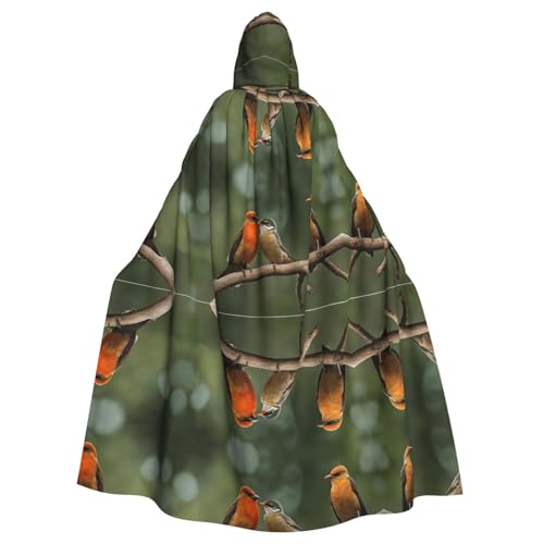SHLXMDNZ Kapuzenumhang mit rotem Vogelmotiv, Unisex, Erwachsene, Halloween, Cosplay, für Männer und Frauen SHLXMDNZ Kapuzenumhang mit rotem Vogelmotiv, Unisex, Erwachsene, Halloween, Cosplay, für Männer und Frauen von SHLXMDNZ