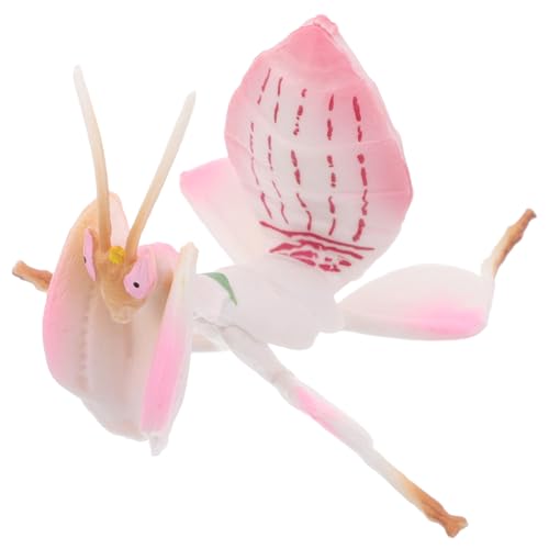SHOWERORO Lernspielzeug Für Jungen Realistische Figuren Schreibtischspielzeug Für Kinder Insektenmodelle SHOWERORO Lernspielzeug Für Jungen Realistische Figuren Schreibtischspielzeug Für Kinder Insektenmodelle von SHOWERORO