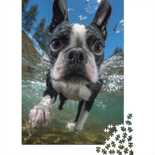 Boston Terrier Holzpuzzles Für Erwachsene 1000 Teile Family Challenging Games Geburtstagsgeschenk Lernspiel Wohnkultur Stress Relief 1000pcs (75x50cm) von SHUNXIFQ