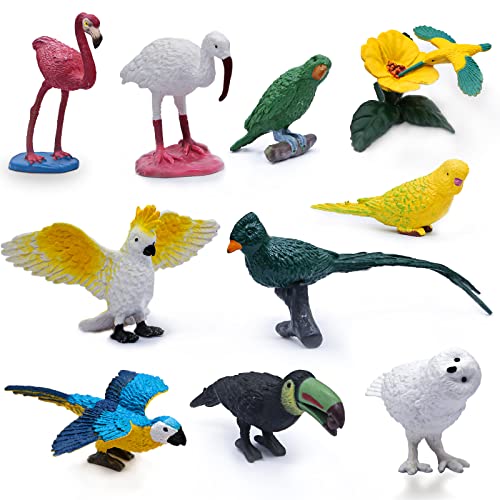 10 Stück Mini-Vogelfiguren, Kunststoff-Vogel-Tierspielzeug, realistische Vogel-Tierfiguren, Miniatur-Vogel-Tiermodell, Flamingo, weißer Ibis, Papageien, Kolibri, pädagogisches Spielzeug, Kuchen Topper von SIENON