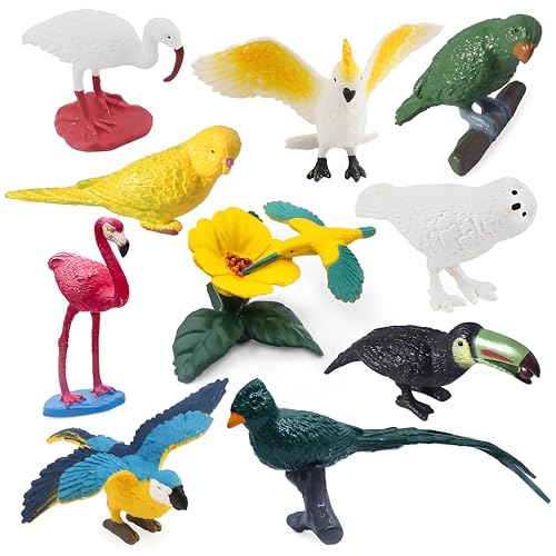 10 Stück Mini-Vogelfiguren, Kunststoff-Vogel-Tierspielzeug, realistische Vogel-Tierfiguren, Miniatur-Vogel-Tiermodell, Flamingo, weißer Ibis, Papageien, Kolibri, pädagogisches Spielzeug, Kuchen Topper von SIENON