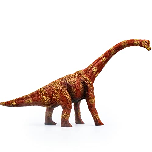 Große Brachiosaurus -Spielzeug 34CM, realistische Spielzeugfigur, pädagogische Jurassic-Dinosaurier-Action-Figuren für die Sammlung Party Favor Home Décor von SIENON