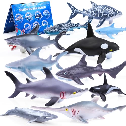 SIENON 11 Stück Hai-Figuren, Realistisches Hai-Spielzeug, 7 Stück 15cm Lebensechte Meerestiere Badespielzeug mit 4 Stück 10cm kleine Walhai Ozean-Tierfiguren für Kinder Bildungs-Geburtstag Party-Deko SIENON 11 Stück Hai-Figuren, Realistisches Hai-Spielzeug, 7 Stück 15cm Lebensechte Meerestiere Badespielzeug mit 4 Stück 10cm kleine Walhai Ozean-Tierfiguren für Kinder Bildungs-Geburtstag Party-Deko von SIENON