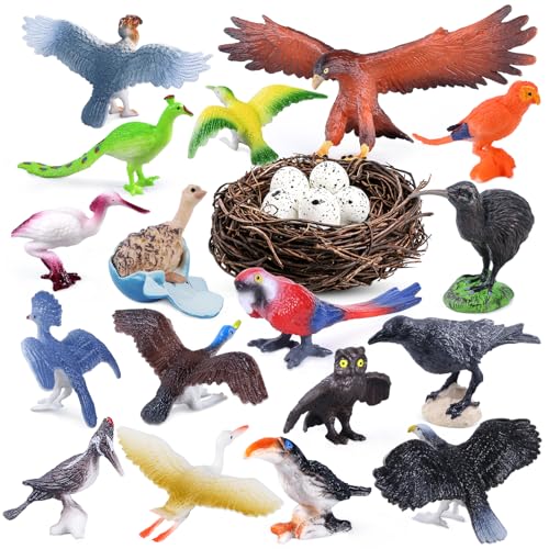 SIENON 23 Stück Vogelfiguren Set, realistisches Vogelspielzeug Wildlife mit Nest, Rabe, Kiwi-Vogel, Strauß, Ara, Goldener Adler Spielfigur für Kinder pädagogische Geburtstagstorte Topper Gartenzubehör SIENON 23 Stück Vogelfiguren Set, realistisches Vogelspielzeug Wildlife mit Nest, Rabe, Kiwi-Vogel, Strauß, Ara, Goldener Adler Spielfigur für Kinder pädagogische Geburtstagstorte Topper Gartenzubehör von SIENON