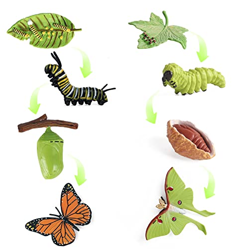 SIENON 4 Stück Schmetterling Lebenszyklus Spielzeugfiguren und 4 Stück Motte Figur aus Kunststoff Raupe zu Schmetterling Wachstumszyklus Spielzeug Insektenfiguren Lehrmittel Schule Projekt für Kinder von SIENON