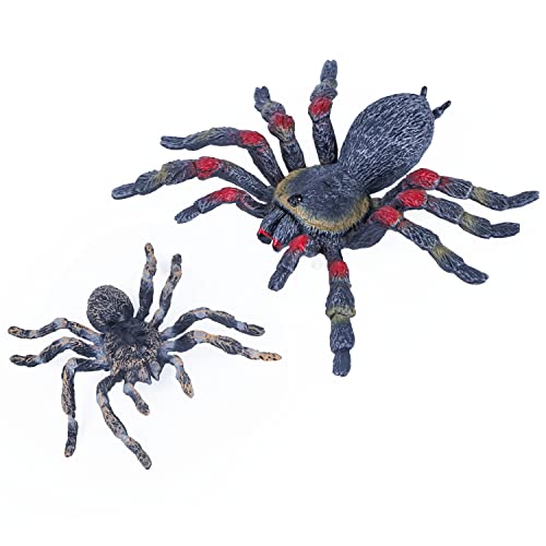 SIENON Realistische Spinnentierfiguren - 2 Stück Spinnenfiguren Insektenspielzeug Spinnenaktionsmodell Spinnenspielzeugfiguren Giant Whiteknee Tarantula Spinnen-Halloween-Streich-Requisiten (Spiders) von SIENON