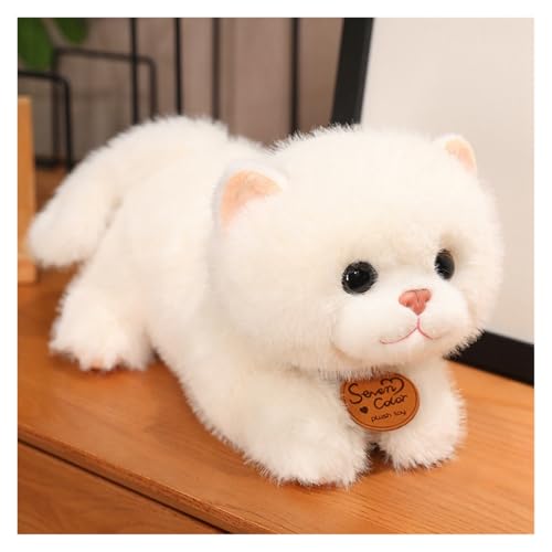 SIGMANT Plüsch-Cartoon-Katze mit realistischen Augen for Kinder und Erwachsene, Weihnachts- und Geburtstagsgeschenk(White,35cm/13.7IN) von SIGMANT